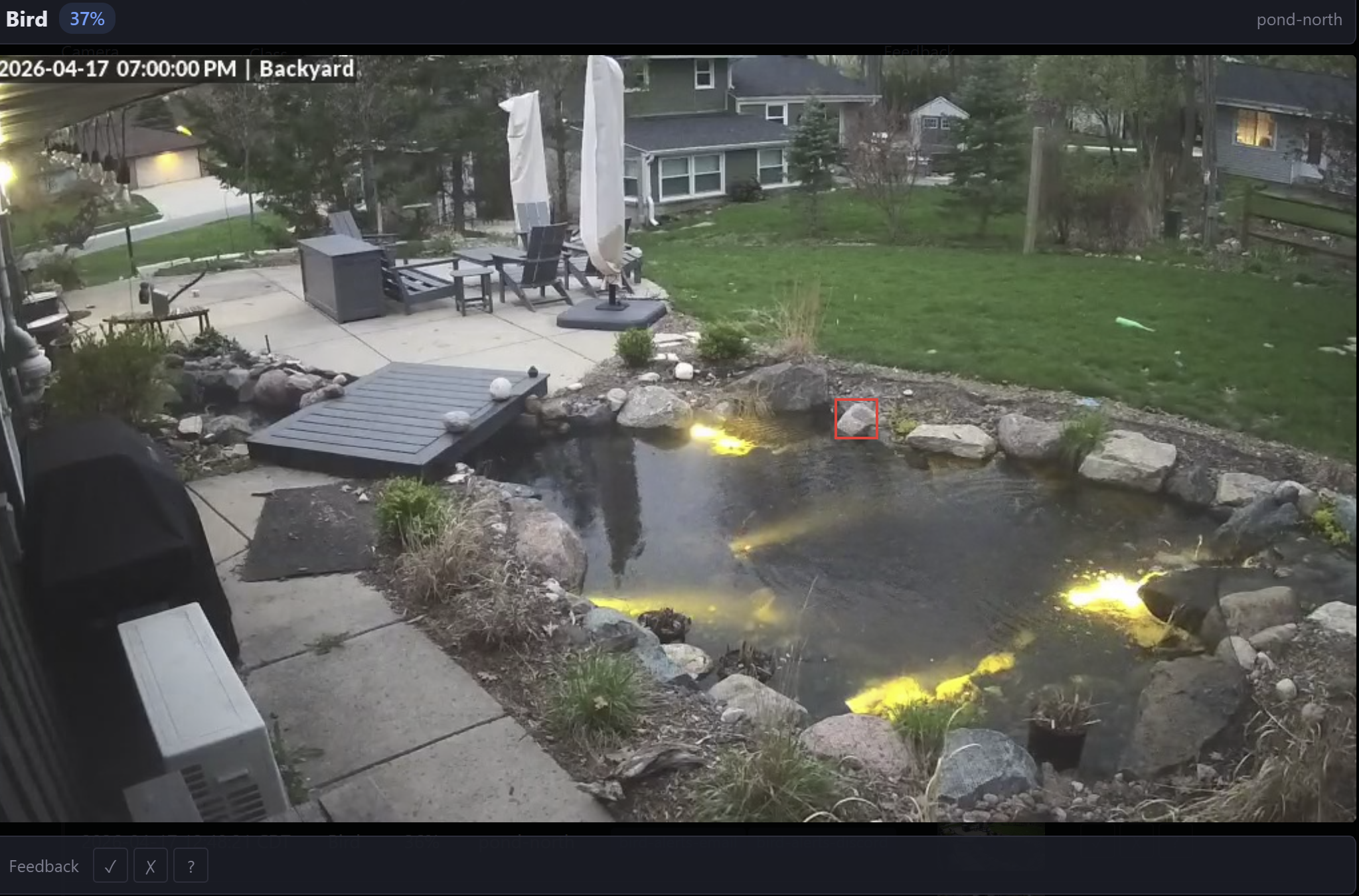 False positive: the stock COCO bird model flagged a rock, illustrating the case for custom training.