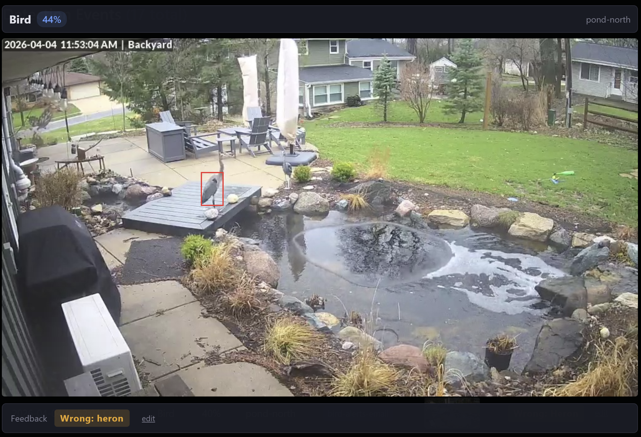 Discord notification of a great blue heron detection with bounding box and confidence score.