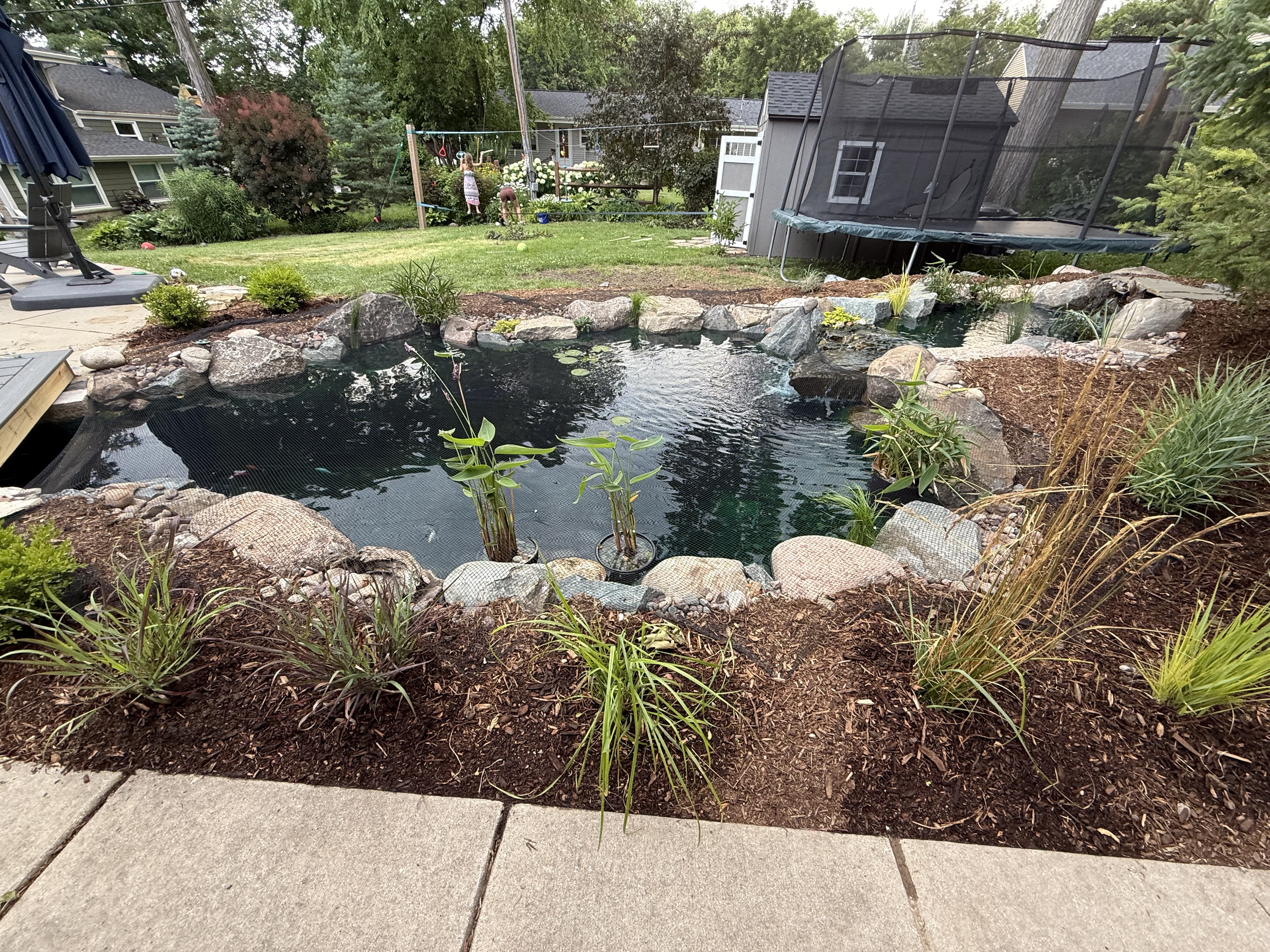The 4,500-gallon pond where Kroger and the rest of the fish currently live.