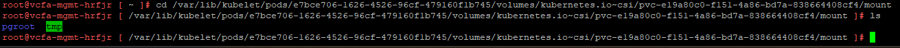 A database mount point