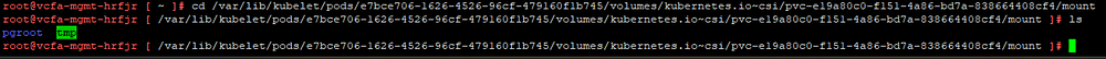 A database mount point